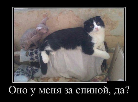 _ А Оно у меня за спиной да