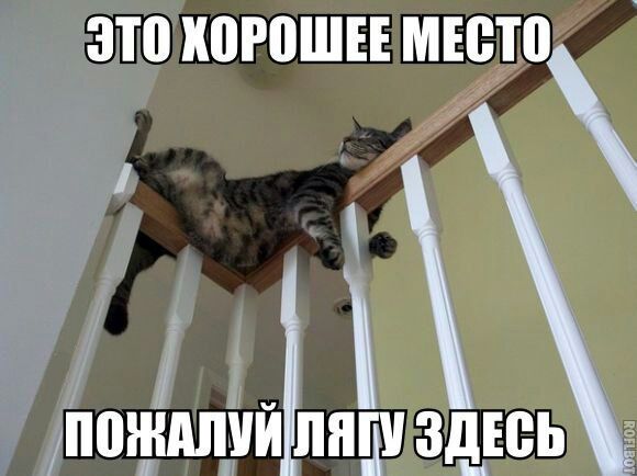 Ра это корошее мъцхо' поалуй!лягу здесь ль