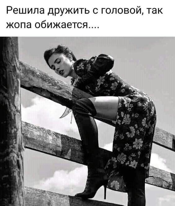 Всем злым бабам и сплетницам желаю в Новом году вечного секса Да будут Ваши рты постоянно заняты6