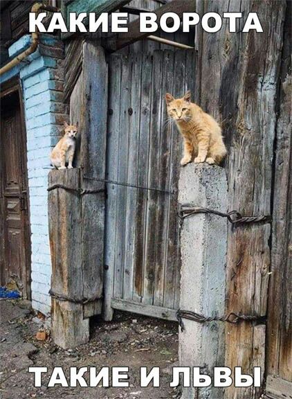 КАКИЕВОРО