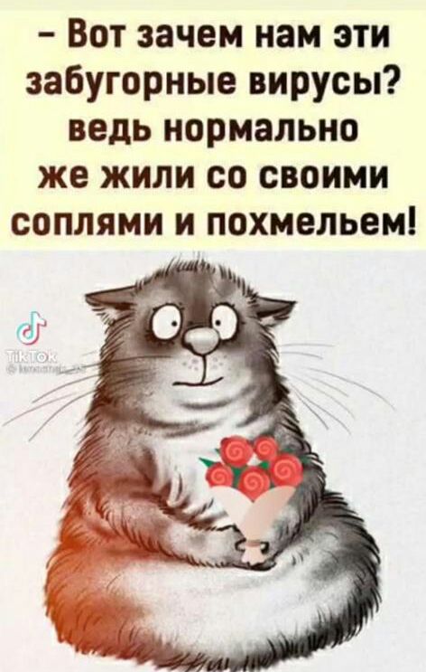 Вот зачем нам эти забугорные вирусы ведь нормально же жили со своими соплями и похмельем