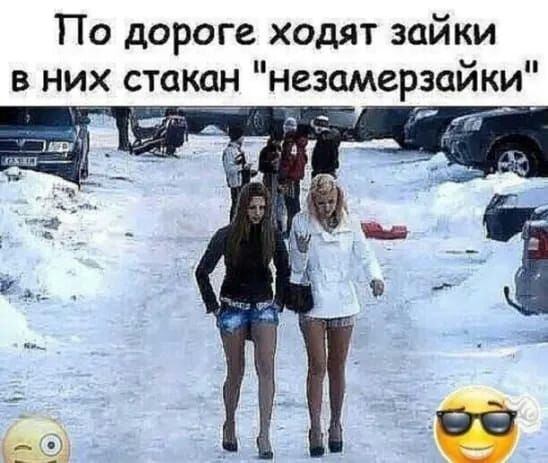 По дороге ходят зайки в них стакан незамерзайки