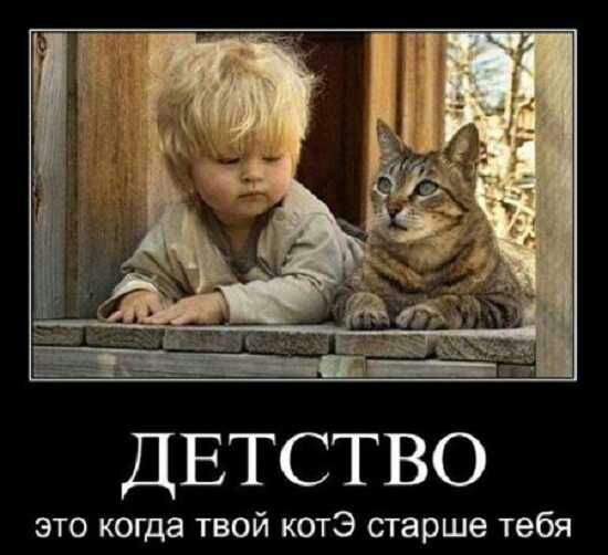 ДЕТСТВО это когда твой котЭ старше тебя