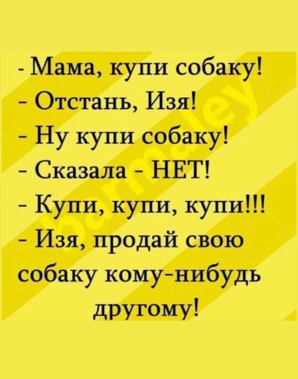 Мама купи собаку Отстань Изя Ну купи собаку Сказала НЕТ Купи купи купи Изя продай свою собаку комунибудь другому