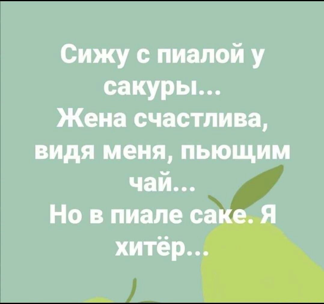 Сижу с пиалой у сакуры Жена счастлива видя меня пьющим чай Но в пиале са хитёр _