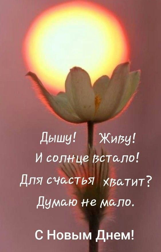 1 дышу Живу И солнце Встали для счистья Ватит Думаю Не мало С Новым Днем