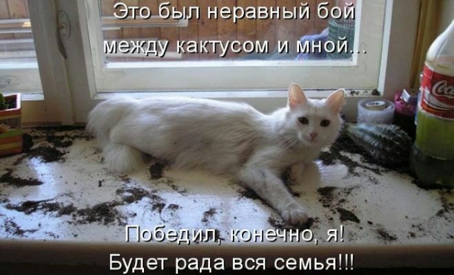 Будет рада вся семья