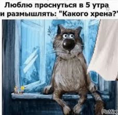 Люблю проснуться в 5 утра и размышлять Какого хрена