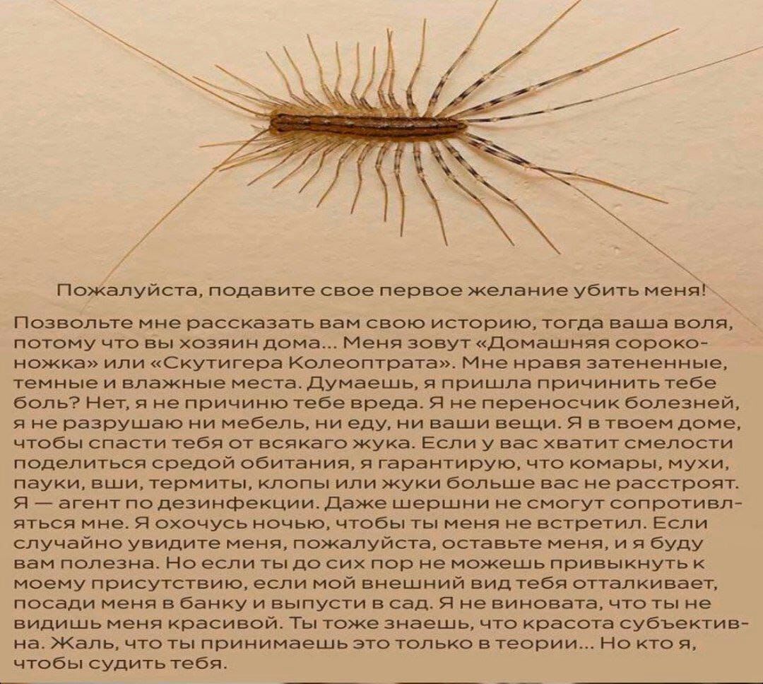 Пожалуйста пчдавите свое первое в а уз неин пыьолы рнсщщзвп с истерию тогда или погану вы хвачии да Маин за дниашипп нарекли п шутит Калитва и да та и и вдвжише дум я пвишл пеичииичь в ами т я не по 1 50 я пмкхмих бол щий я не разр и Ивдель ищи я Твин дані папи тев ы канат а в у вас хватит снвпкги дым каплей пбигания шраитирут мы ухи му ши 1впии1ы км жу Больше пс цена и пп дциифцкции в мм синт шпр