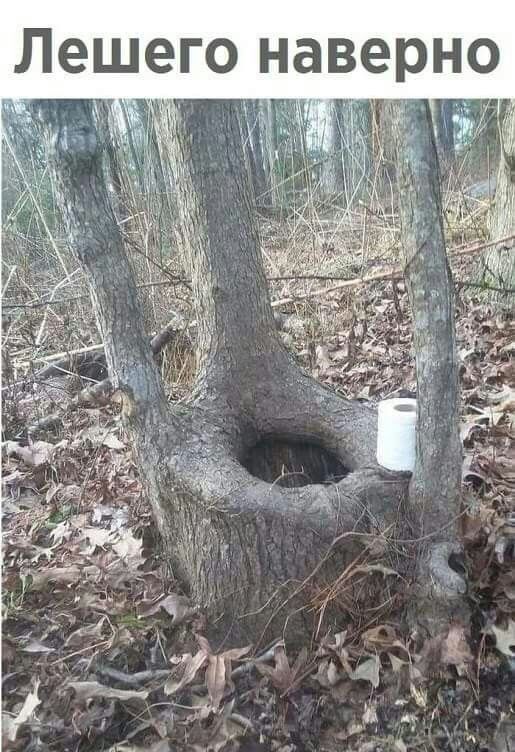 О Н р 6 В а Н О г Ши л