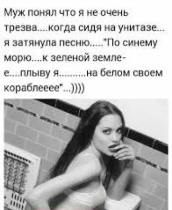 Муж понял что я не очень трезвакогда сидя на унитазе я затянула песню По синему морюк зеленой земле еплыву я на белом своем корабпееее_ чп