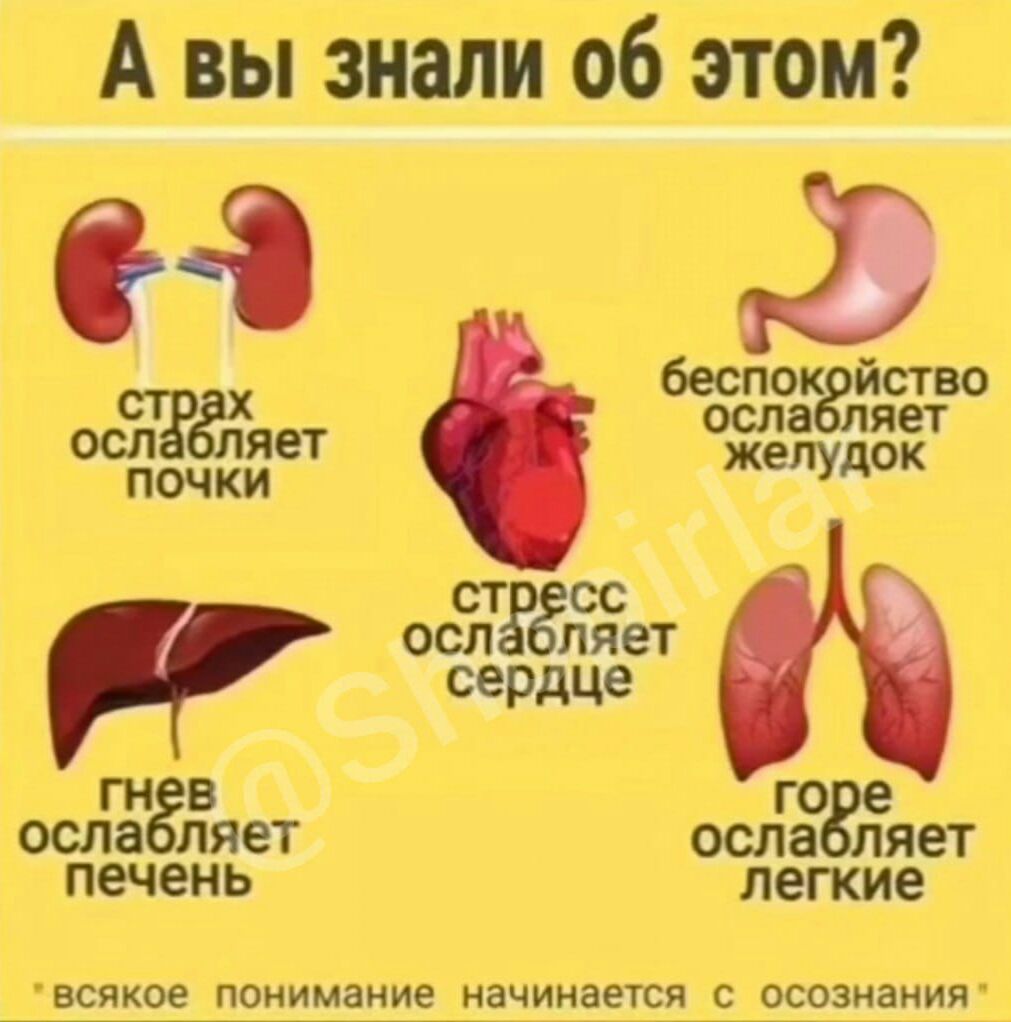 А вы знали об этом и 39 бесп ство Я осп яет почки желудок ГО СТ оспЁЁЁет сердце ГН В ОСИН ет осла печень легкие всякое понимание_начинаетса_с_осознаиия