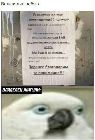 Вежливые ребята Ош ее шит пиши ммс у аванс благодарим щиимаиие ЕЩЕШ ЖИГЦЛИ