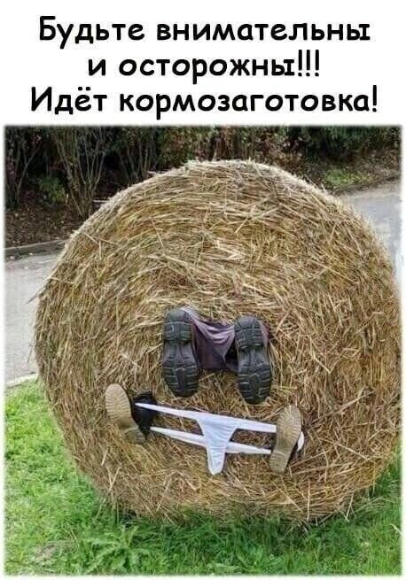 Будьте внимательны и осторожны Идёт кормозаготовка