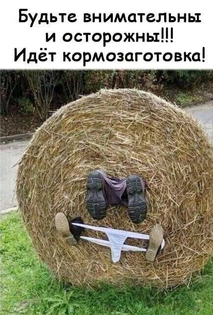 Будьте внимательны и осторожны Идёт кормозаготовко