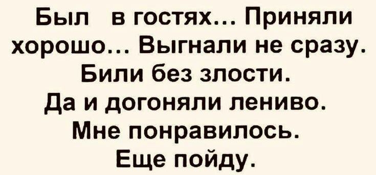 Был в гостях Приняли хорошо Выгнали не сразу Били без злости да и догоняли лениво Мне понравилось Еще пойду