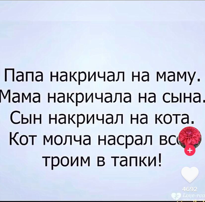 Папа накричап на маму Мама накричала на сына Сын накричап на кота Кот молча насрал вс троим в тапки