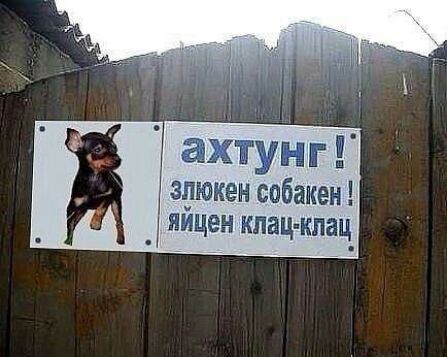 ахтунг апюкеи собакеи _ яйцеи кпац кпац_