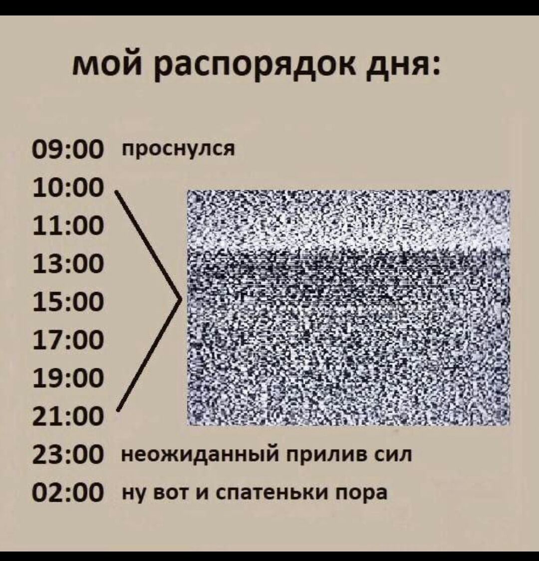 мой распорядок дня 0900 проснулся 1000 1100 1300 1500 1700 1900 2100 2300 неожиданный прилив сил 0200 ну вот и спа1еньки пора
