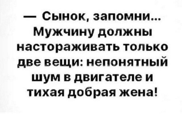 Сынок запомни Мужчину должны настораживать только две вещи непонятный шум в двигателе и тихая добрая жена