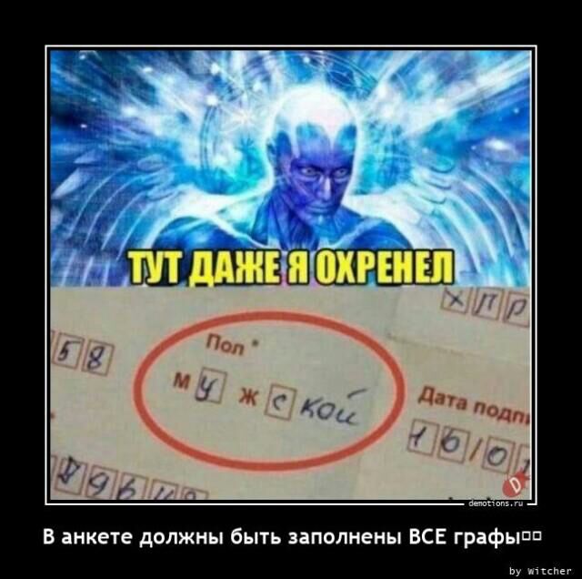 чат 6 О в іикете должны быть заполнены все граф пп