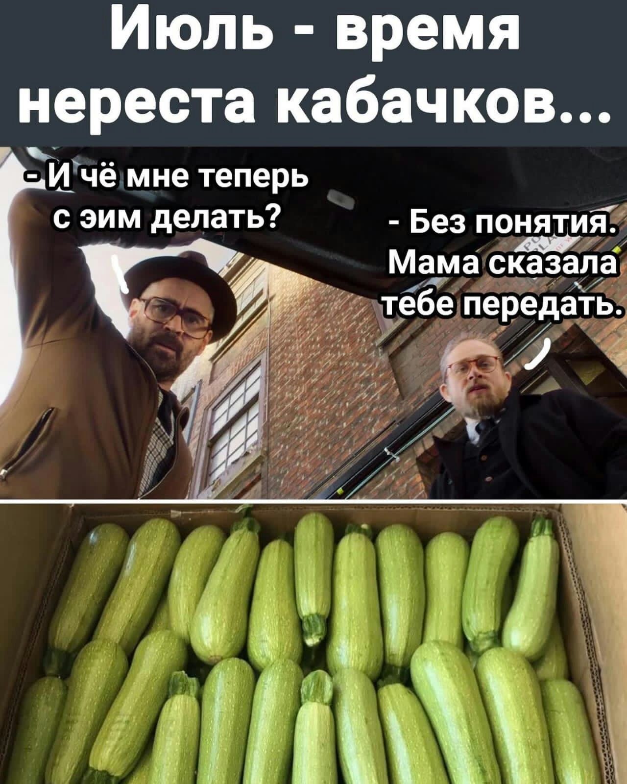 Июль время нереста кабачков Цче мне теперь зим делать Без понятия и Мама сказала тебе передать