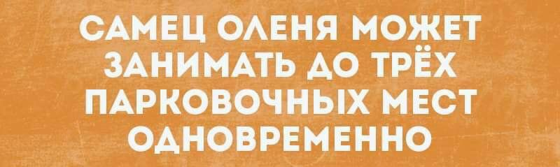 Ейожвня йояіет мнимпь Ао т оАйов _цЕнно