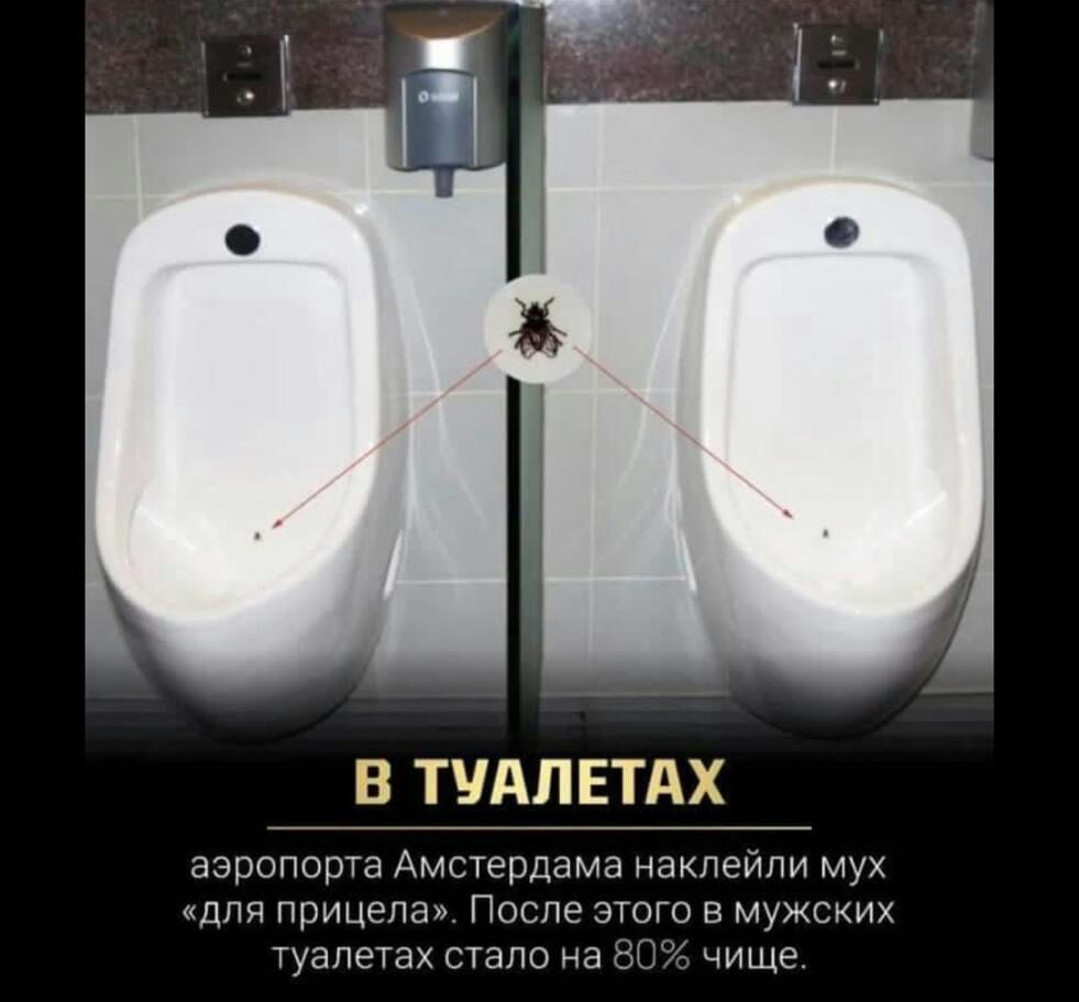 В ТУАЛ ЕТАХ аэропорта Ампердама наклеили мух дла прицепа После этого в мужских уапетах стапо на _ чище