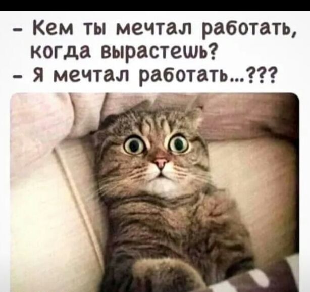 _ Кем ты мечтал работать когда вырастешь я мечтал работать