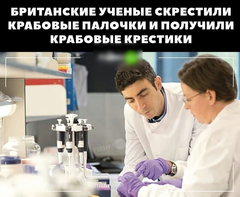 БРИТАНСКИЕ УЧЕНЫЕ СКРЕСТИЛИ КРАБОВЫЕ ПАПОЧКИ И ПОЛУЧИЛИ КРАБОВЫЕ КРЕСТИКИ