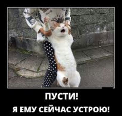ПУСТИ Я ЕМУ СЕЙЧАС УСТ РОЮ