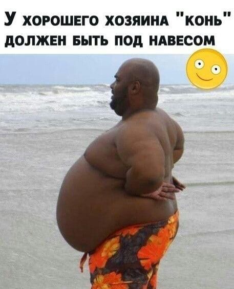 У хорошего ХОЗЯИНА конь должен выть под НАВЕСОМ