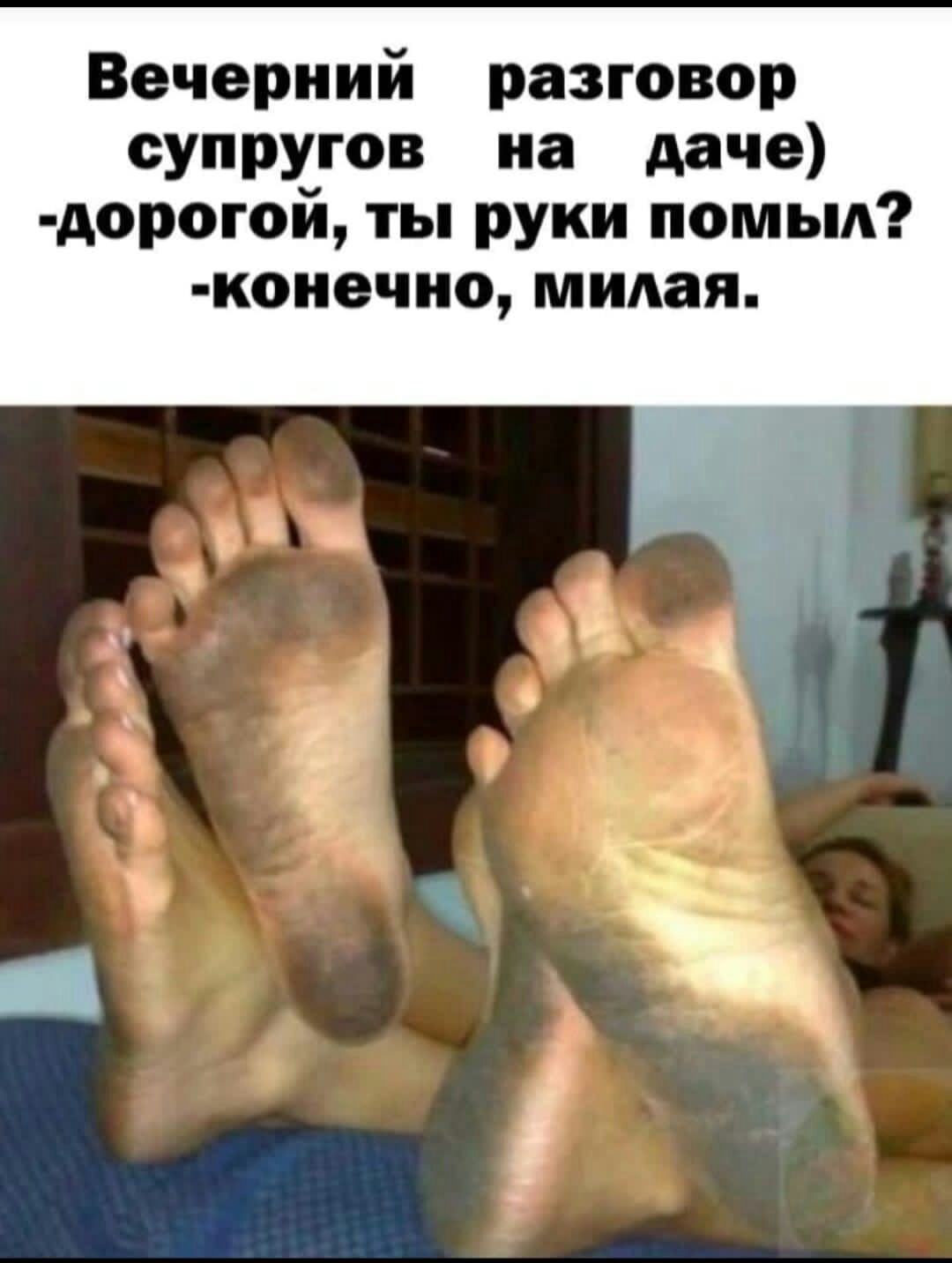 Вечерний разговор супругов на даче дорогой ты руки помыл коиочио милая