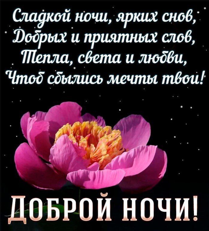 ш яркшгсішб Юобршиприяпишшслов Шетш сбелшишодш Чтобсбьшшьметипытбші Дбврой ночш