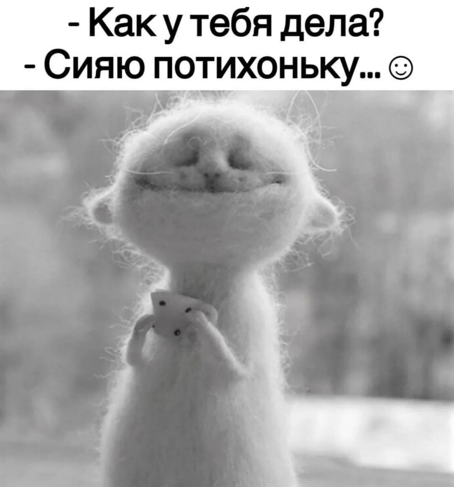Как у тебя дела
