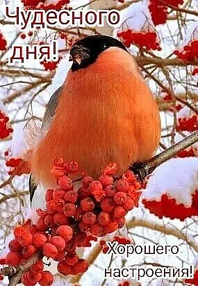 ии _ ошег наётроения КЧ_ дъг