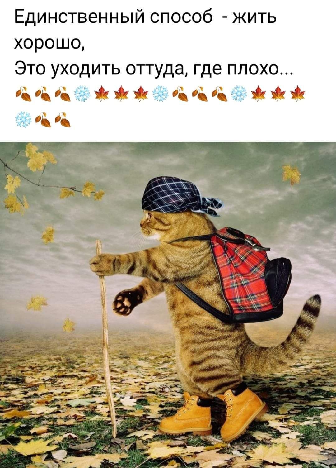 Единственный способ жить хорошо Это уходить оттуда где плохо 4 4_ 145 от Иа кх від
