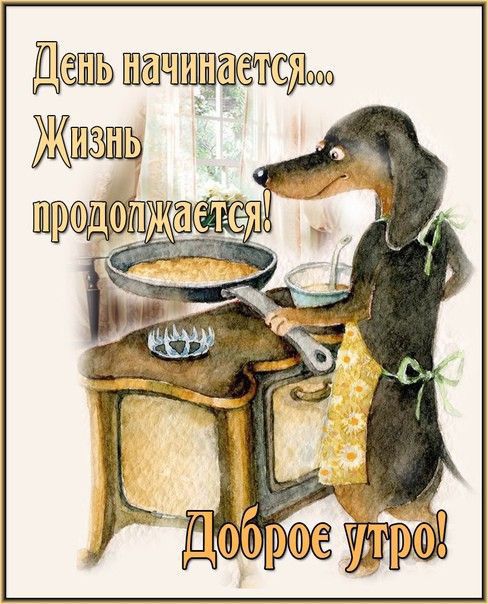 День чцщш Жизнь