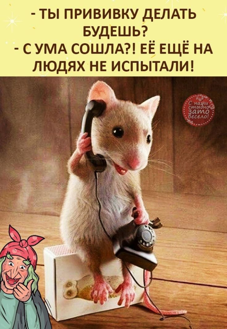 ТЫ ПРИВИВКУ ДЕЛАТЬ БУДЕШЬ__ __ с УМА СОШЛА ЕЕ ЕЩЕ НА ЛЮДЯХ НЕ ИСПЫТАЛИ 4
