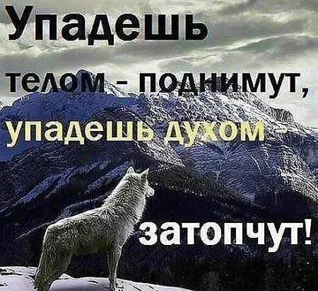 затопчут