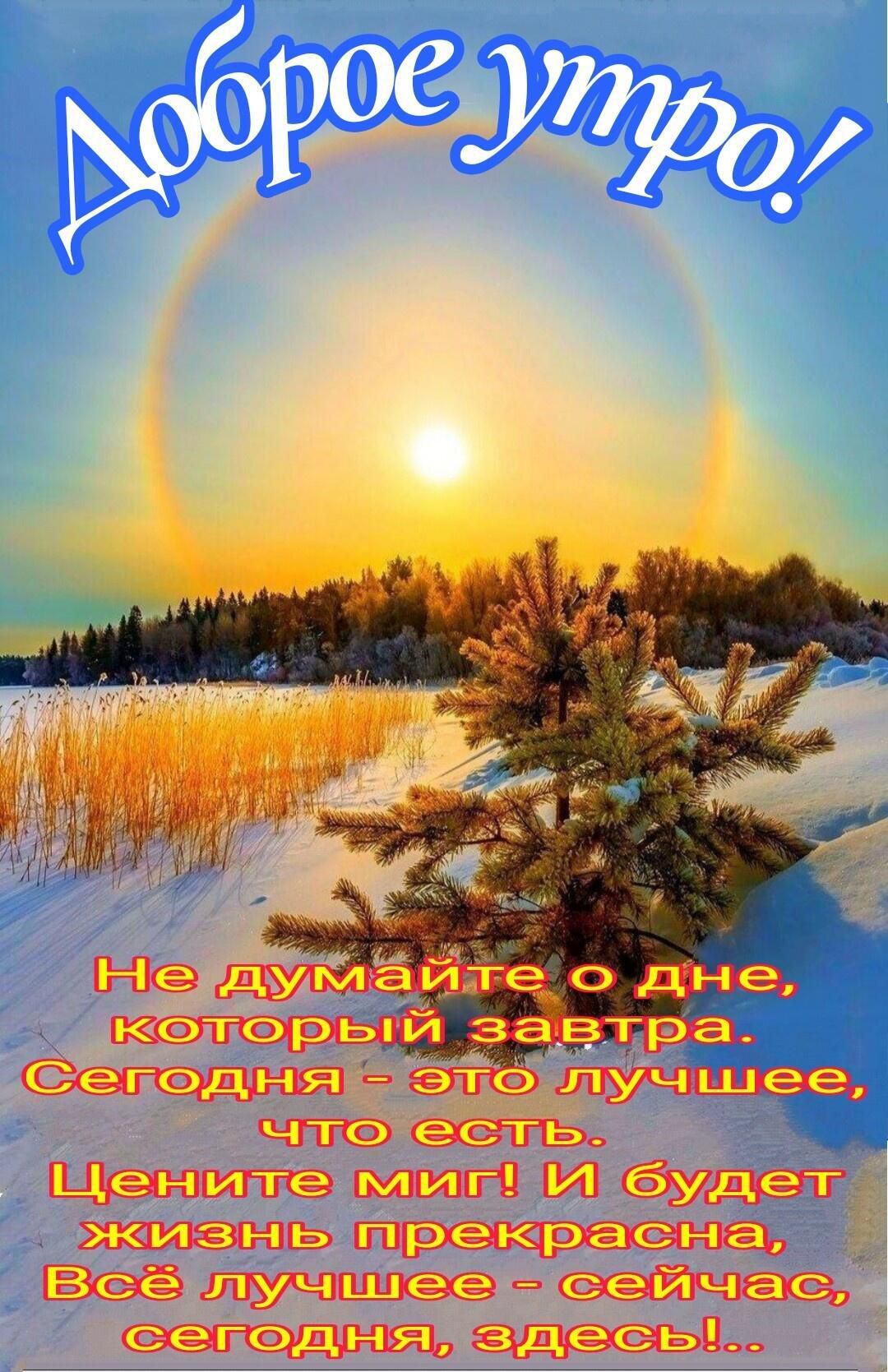 кэтэрьпи завтдёа Сегэдня ЭТФ луч