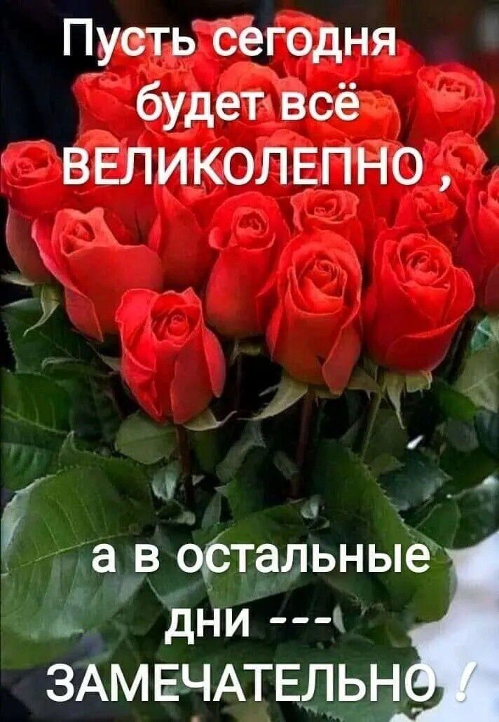 Пусть сегодня будет всё ВЕЛИКОЛЕПНО х а в ФЁТЭЛЬНЫЁ в дни ЗАМЕЧАТЕЛЬН