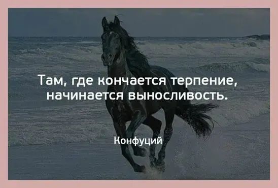 Там Где кончается Терпение начинается ВЫ НОСЛИВОСТЬ Конфуций