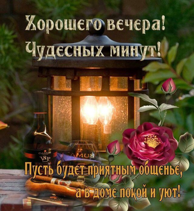 Хорошетвечера Чу Мустьбу _ А 9 5