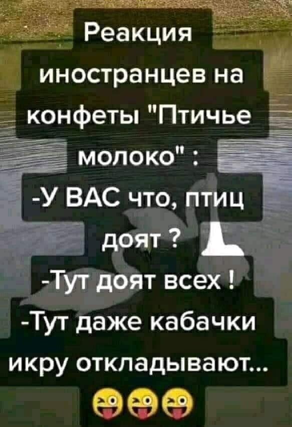 Реакция иностранцев на конфеты Птичье Лиам всех Тут даже кабачки икру откладывают 999