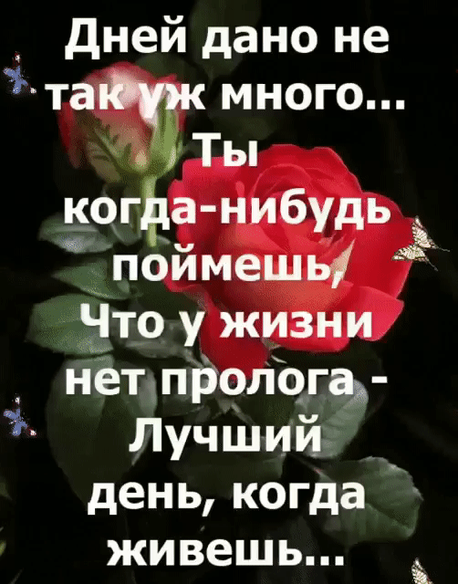 _ дней дано не та много Ты ЁШЁЁНИБУДЬ жпоимешь ёто у жизни _ нётшйрлёгаь Лучший день когда живешь _