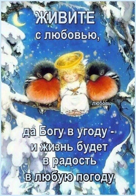 : живите. 19 с любовью,  иркизнь будет  2   любую погоду д.