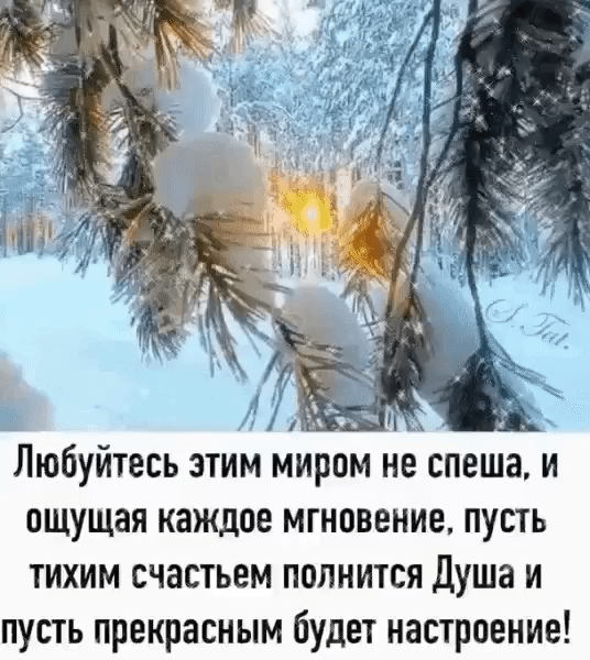 Любуйтесь этим миром не спеша и ощущая каждое мгновение пусть тихим счастьем полнится Душа и пусть прекрасным будет настроение