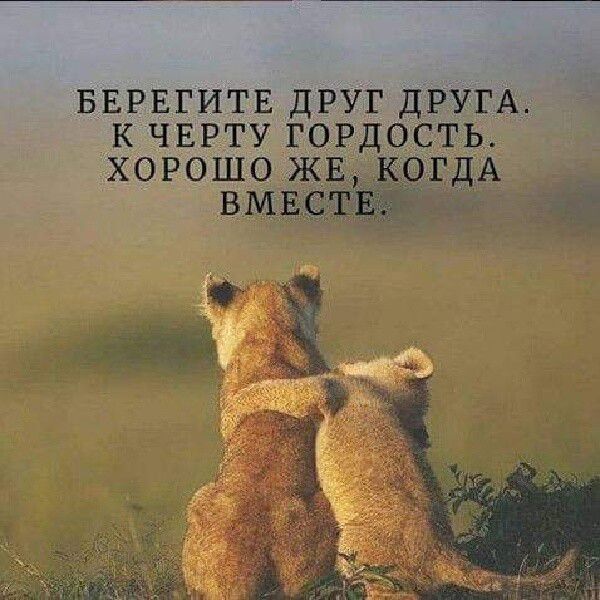 БЕРЕГИТЕ дрУг ДРУГА к ЧЕРТУ гордость хорошо Ж дА