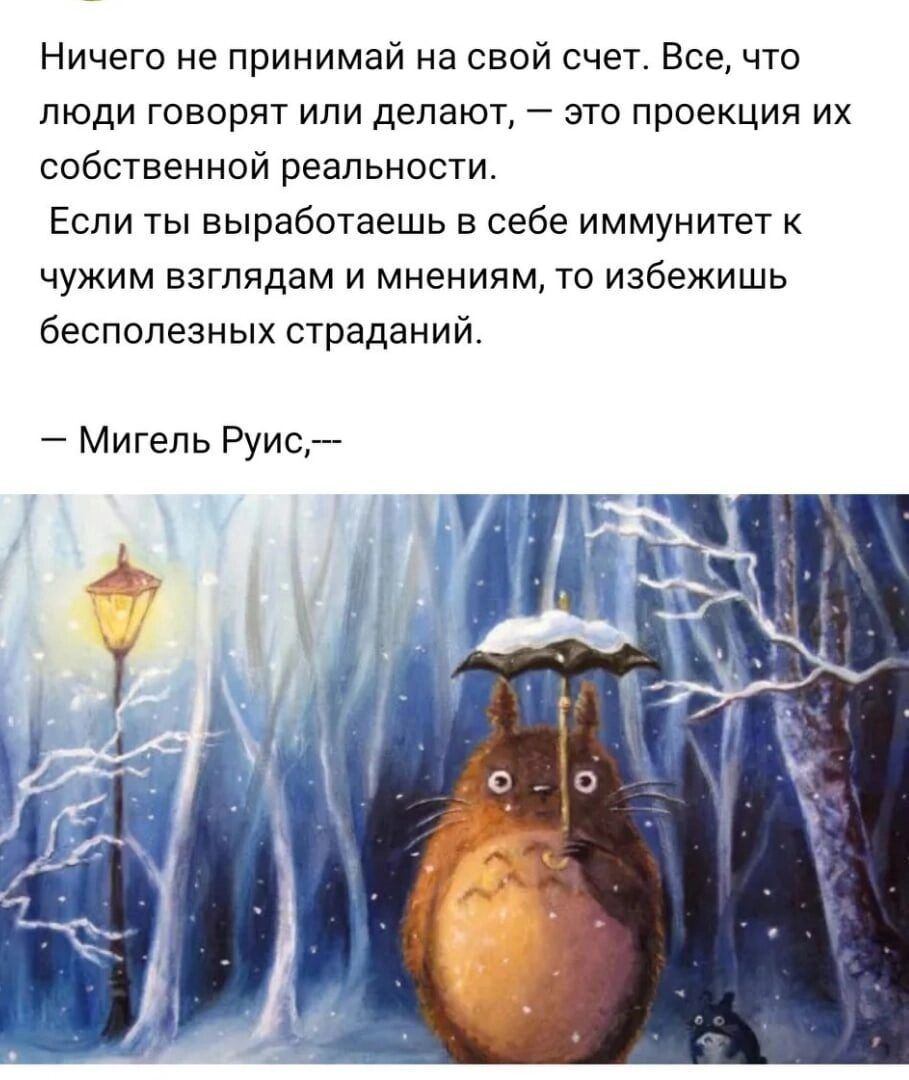 Ничего не принимай на свой счет Все что люди говорят или делают это проекция их собственной реальности Если ты выработаешь в себе иммунитет к чужим взглядам и мнениям то избежишь бесполезных страданий Мигель Руис